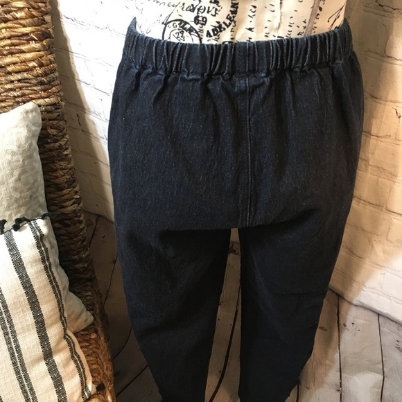 DG by Diane Gilman elastic waist denim pant - Picture 4 of 9